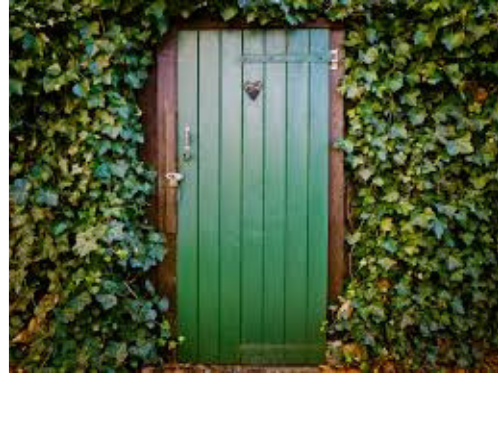 Best Plywood and Doors Company in Kanpur